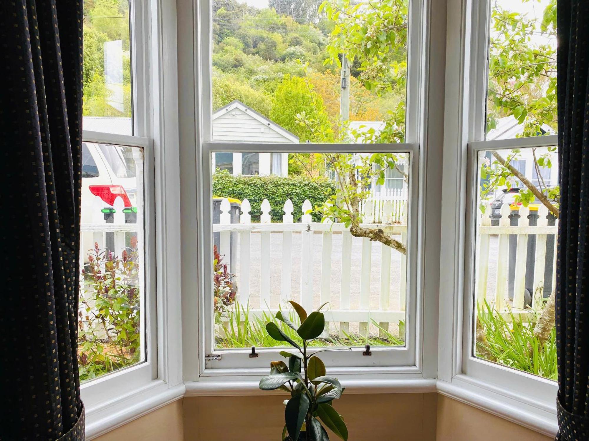 In Dunedin'S Heart, Full House, Full Sun, Full Chill, Why Stay At A Hotel When You Can Afford An Entire House Exterior foto